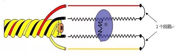 線纜式水浸傳感器，了解一下